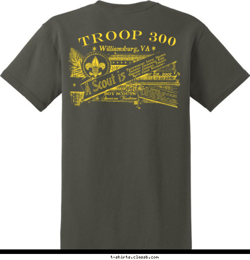 WILLIAMSBURG, VA TROOP 300 TROOP 300 Williamsburg, VA Est. 2003 T-shirt Design 