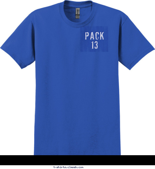 13 PACK 13 PUNTA GORDA, FL CUB SCOUT T-shirt Design 