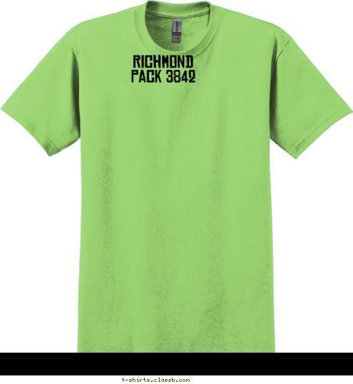 Stillwater, OK Richmond 
Pack 3842 PACK 42  2015 CUB SCOUT T-shirt Design 