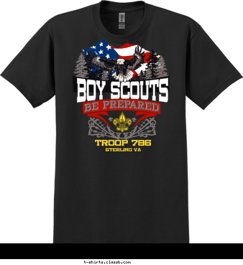 BOY SCOUTS Sterling VA TROOP 786 T-shirt Design 