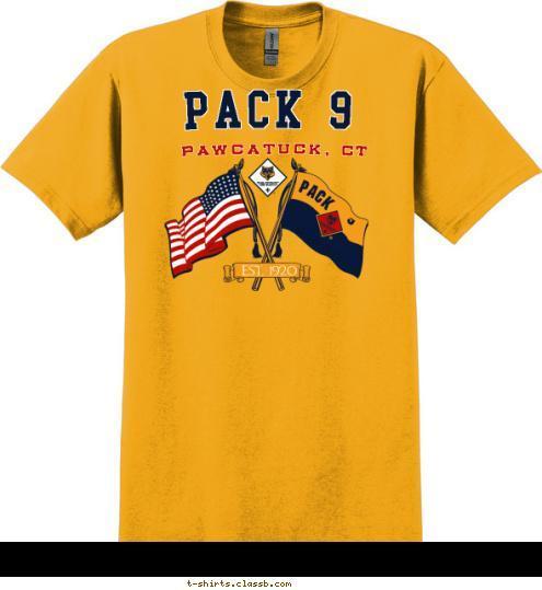 PACK 9 Pawcatuck, CT EST. 1920 PACK 9 USA ANYTOWN T-shirt Design 