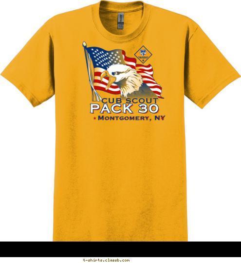 WeBeLos
Den 10 CUB SCOUT PACK 30 Montgomery, NY T-shirt Design 