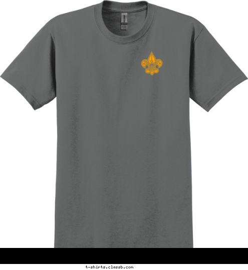 Des Plaines, IL Des Plaines, IL TROOP 160 TROOP 160 T-shirt Design 