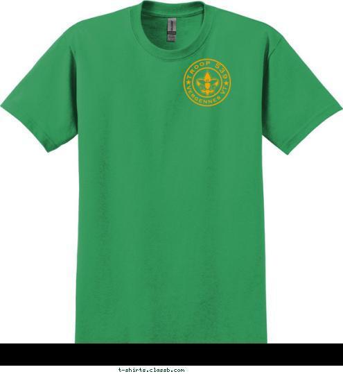 BOY SCOUTS OF AMERICA Vergennes, VT Troop 539 539 Vergennes VT TROOP T-shirt Design 