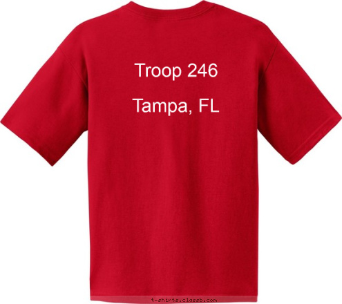 Troop 246

Tampa, FL 2017 Washington D.C. Trip T-shirt Design 