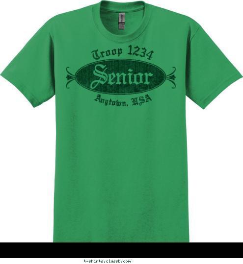 Anytown, USA  Troop 1234 Senior T-shirt Design sp344