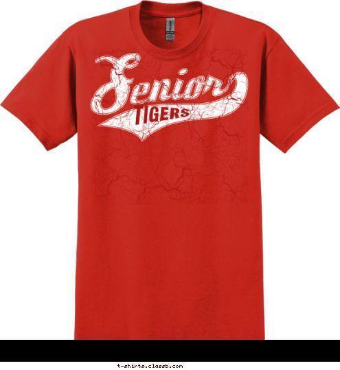 TIGERS T-shirt Design 