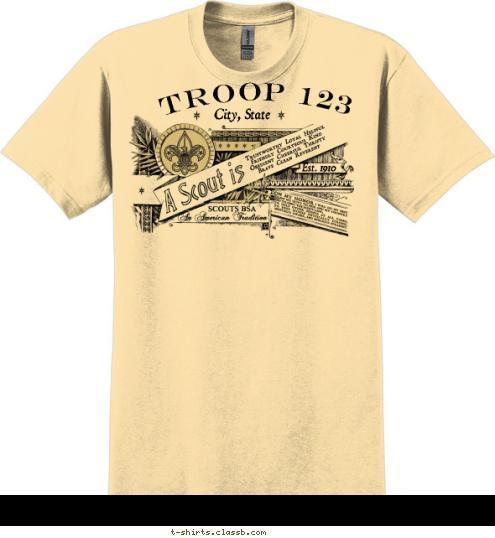 Your text here TROOP 123 City, State Est. 1910 T-shirt Design SP847