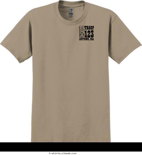 ANYTOWN, USA
 123
 TROOP
 T-shirt Design 