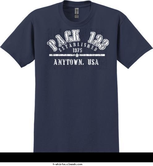 ANYTOWN, USA 1975 ESTABLISHED PACK 123 T-shirt Design 