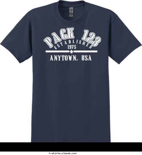 ANYTOWN, USA 1975 ESTABLISHED PACK 123 T-shirt Design 