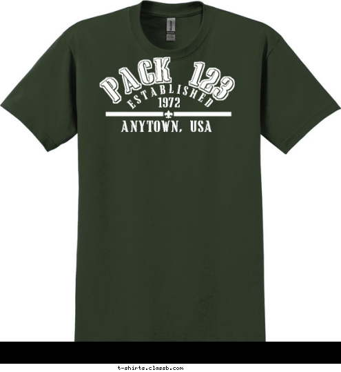 ANYTOWN, USA 1972 ESTABLISHED PACK 123 T-shirt Design 