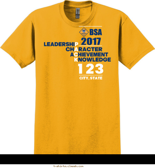 CITY, STATE 123 BSA 2017 T-shirt Design SP3289