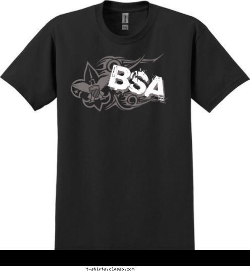 ANYTOWN, USA BSA BSA BSA T-shirt Design 