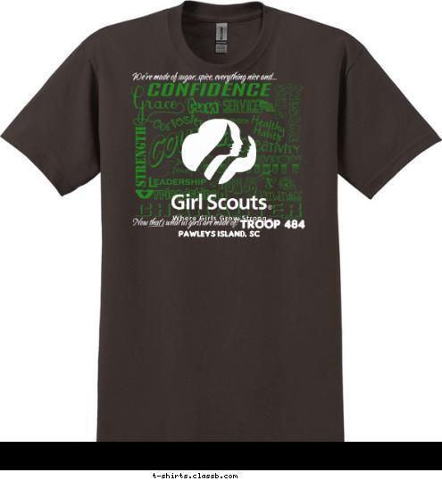  TROOP 484 Pawleys Island, SC T-shirt Design 