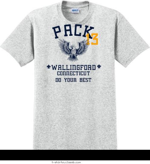 13 DO YOUR BEST CONNECTICUT WALLINGFORD PACK T-shirt Design 