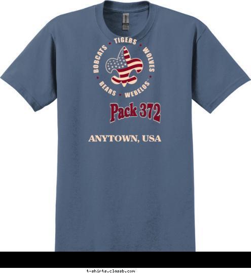 ANYTOWN, USA Pack 372 T-shirt Design 