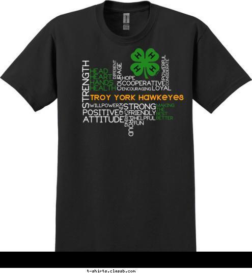 TROY YORK HAWKEYES T-shirt Design 