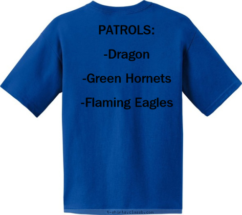 PATROLS:

-Dragon

-Green Hornets

-Flaming Eagles BOY SCOUT CLINTON, NC TROOP 41 T-shirt Design 