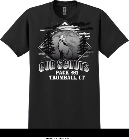 PACK 123
CITY, STATE T-shirt Design SP5083