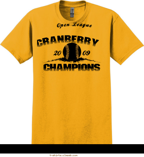 ROOSEVELT COLLEGE INTRAMURAL CRANBERRY CHAMPIONS Open League 20 09 T-shirt Design 